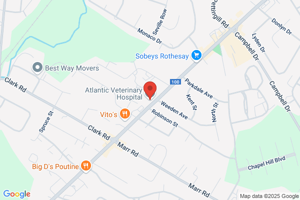 Atlantic Veterinary