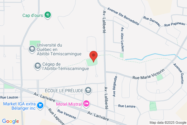Cotnoir Michel Inc Journaux