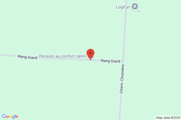 Pension au Confort Canin