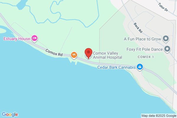 Comox Valley Animal Hospital