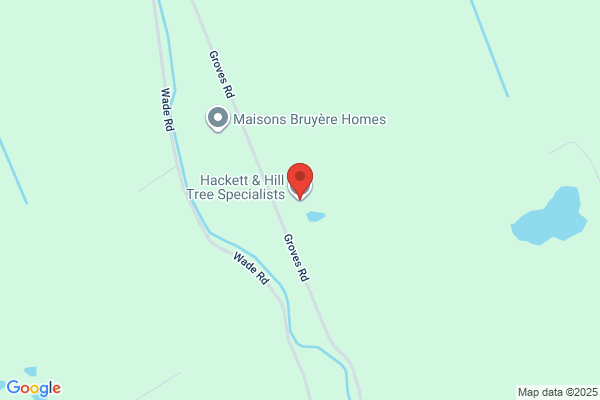 Hackett & Hill Tree Specialists