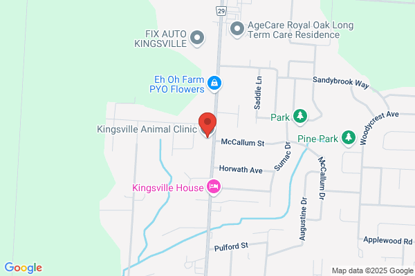 Kingsville Animal Clinic