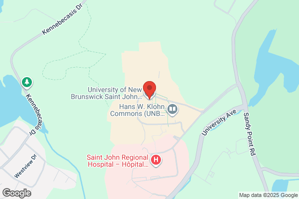 University of New Brunswick Saint John, Vice-President