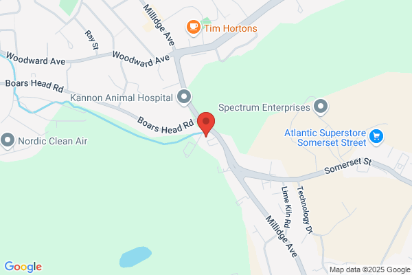 Serene Physique
