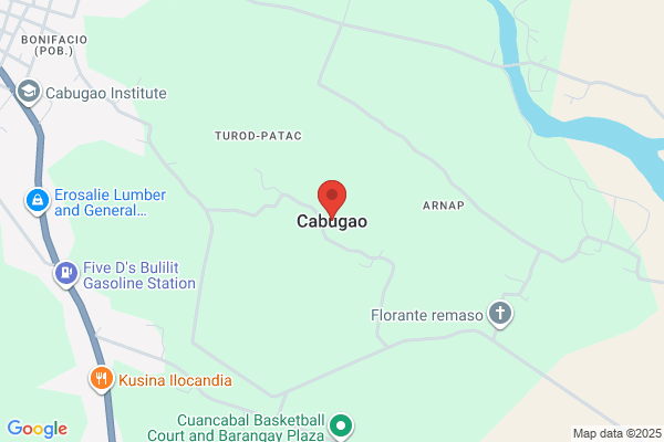 Cabugao & Associates