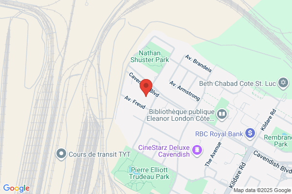Place Des Vosges Inc