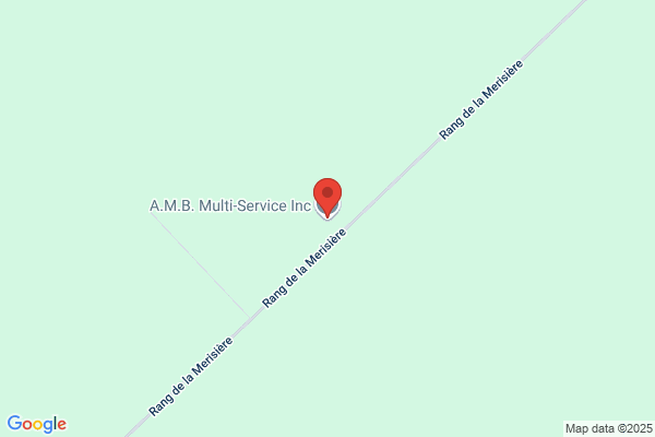 A M B Inc