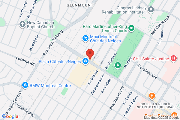 Conseil Communautaire Cote-Des-Neiges-Snowdon