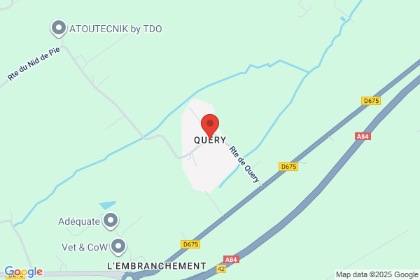 Fernand Query