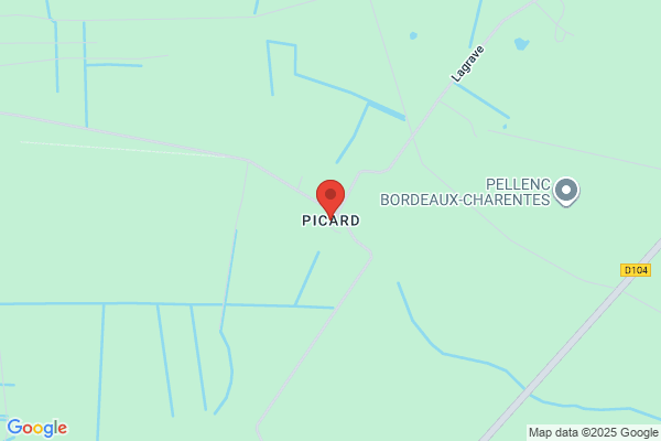 Picard Mécanique