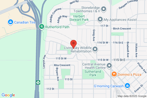 Search Shark - SEO Company & Services Saskatoon