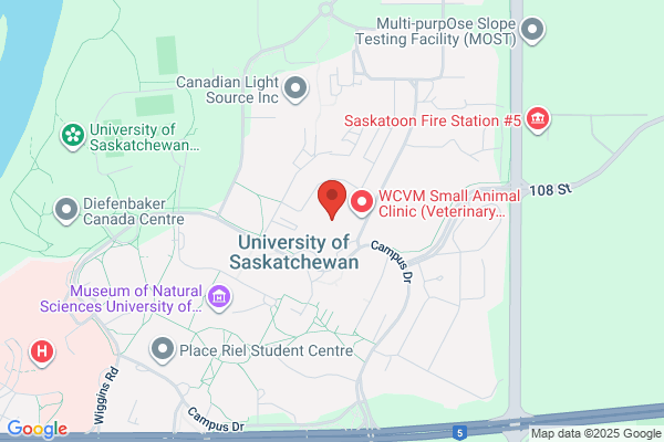 University of Saskatchewan, Library, Veterinary Teaching Hospital, Director