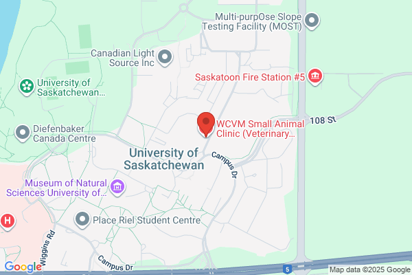 University of Saskatchewan, Library, Veterinary Teaching Hospital, Small Animal Clinic