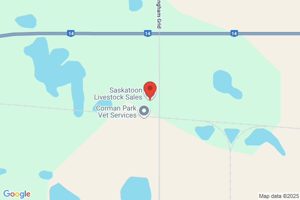Saskatoon Auction Mart Ltd