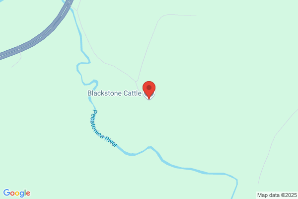 Blackstone Land and Cattle Corp