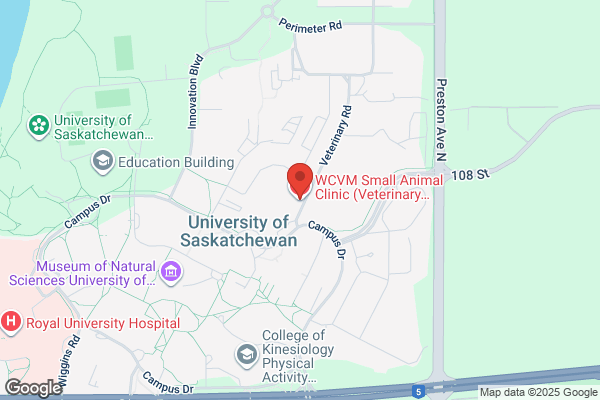 Cat Hospital of Saskatoon