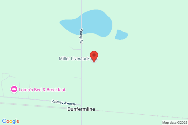 Miller Livestock Order/Buy Co Ltd