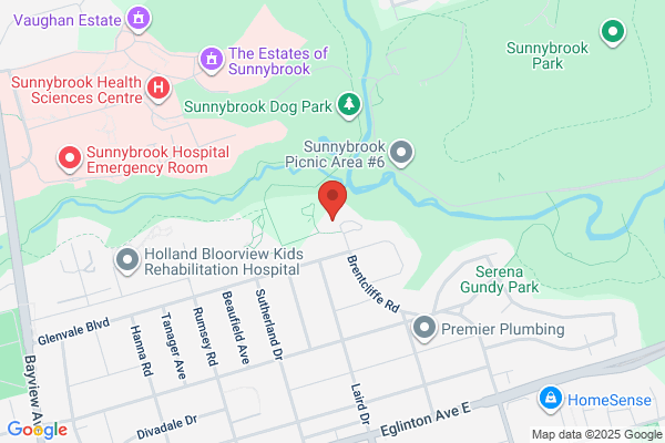 Bellwood Health Services
