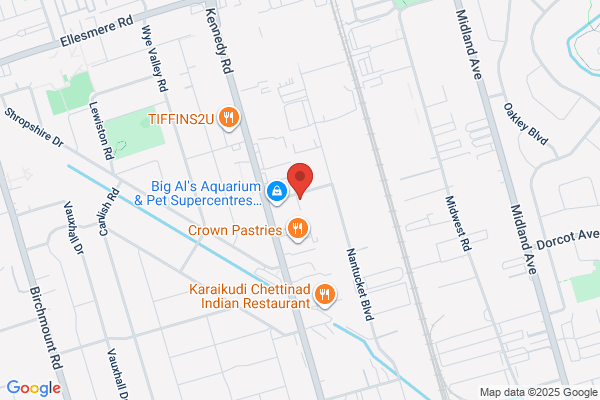 City Japanese Auto Parts Inc
