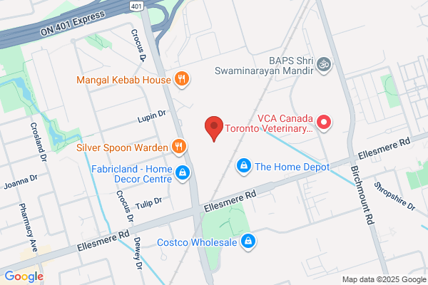 Mega City Used & New Auto Parts Inc