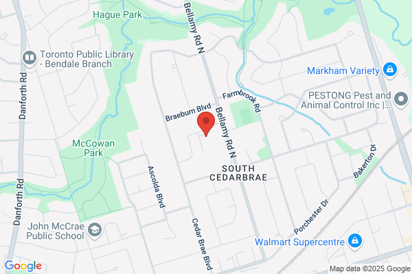 Toronto Catholic District School Board, Elementary Schools, St Nicholas