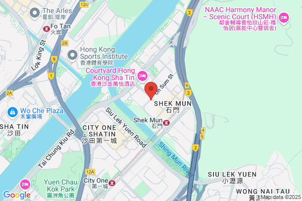 China Info Globe Inc