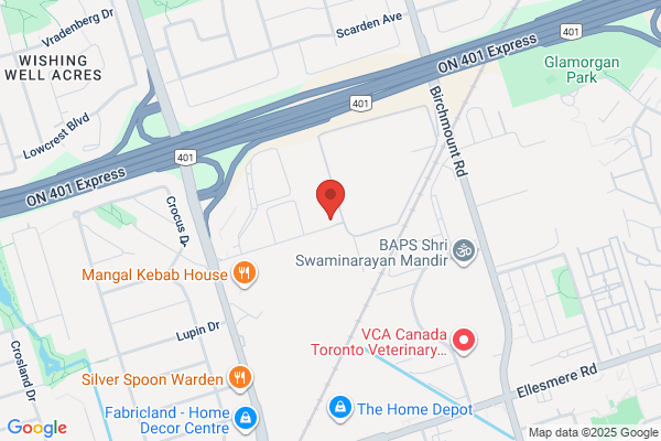 City Duct Cleaning Inc