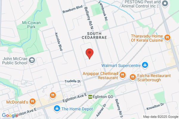 Candia Enterprises