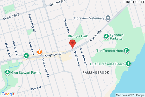 Toronto Beaches Dentist