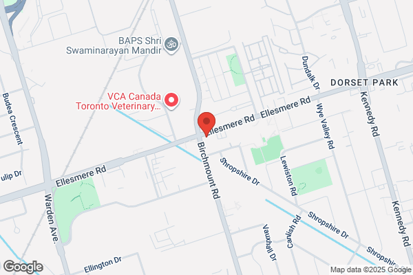 Dorset Park Cleaners & Dyers