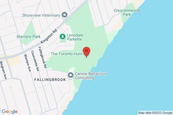 The Toronto Hunt