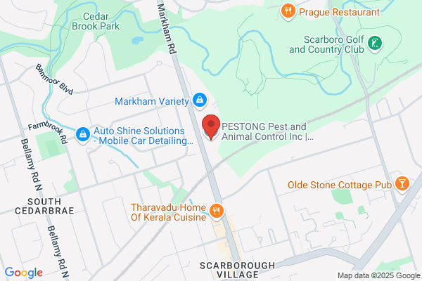 PESTONG Pest and Animal Control Inc