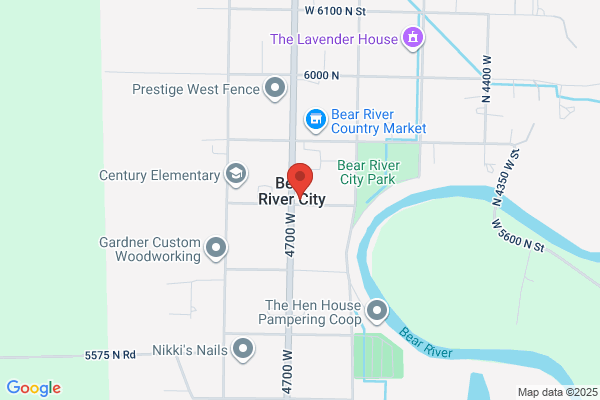 Bear City Ltd
