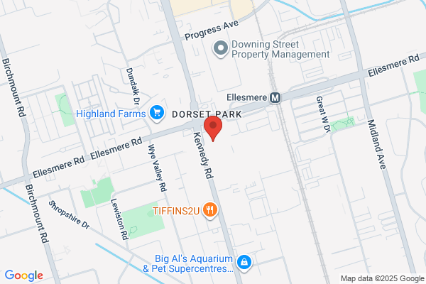Toronto Cash Express Ltd