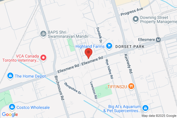 Midas Auto Service Experts, Scarborough