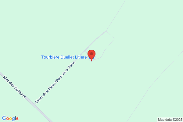 Laroche Alric Ouellet, Laroche Lise