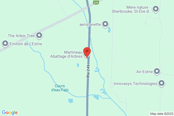 Martineau Abattage d'Arbres