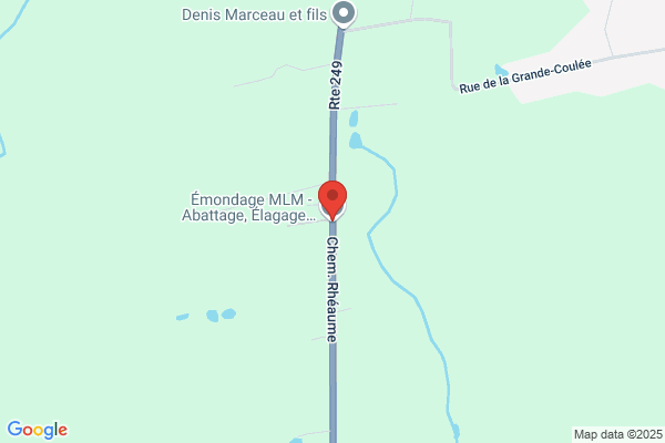 Émondage MLM