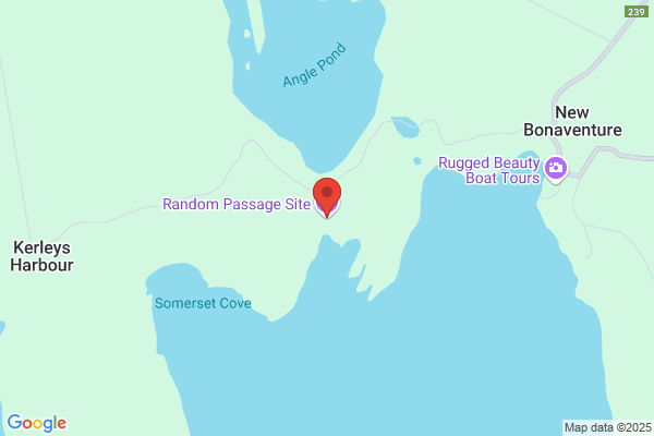 Cape Random Trust