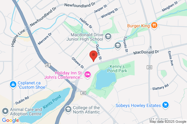 Newfoundland and Labrador Veterinary Medical Associa