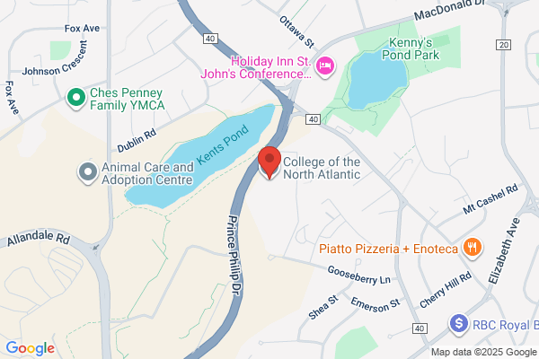 College of the North Atlantic, College Website District Administrator