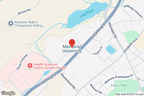 Memorial University of Newfoundland, Atlantic Computational Excellence Network (Acenet), Technical Support
