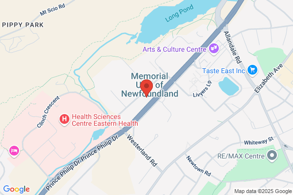 Memorial University of Newfoundland, Cooperative Education Services Centre, Programmer Consultant