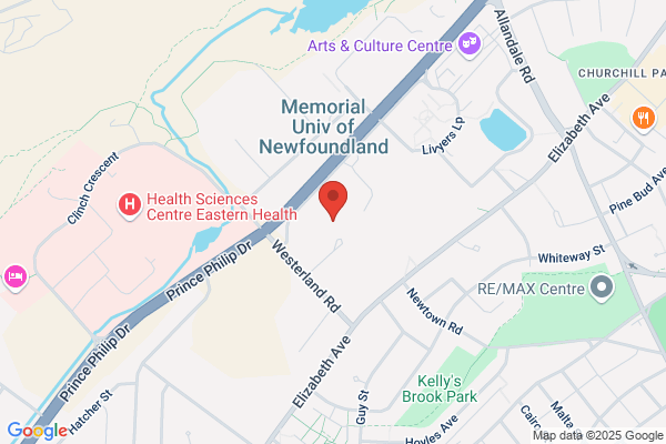 Memorial University of Newfoundland, Library-Queen Elizabeth II, Library Systems