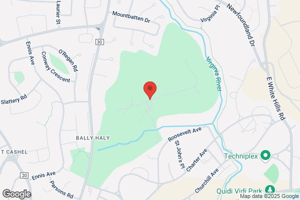 Bally Haly Golf & Curling Club, Tee Times