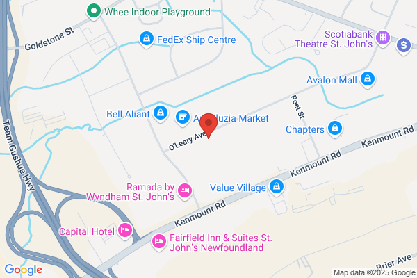 Newfoundland & Labrador Association For Community Li