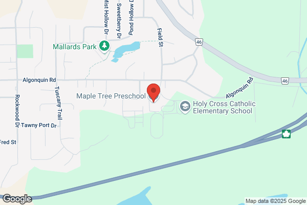 Maple Tree Preschool