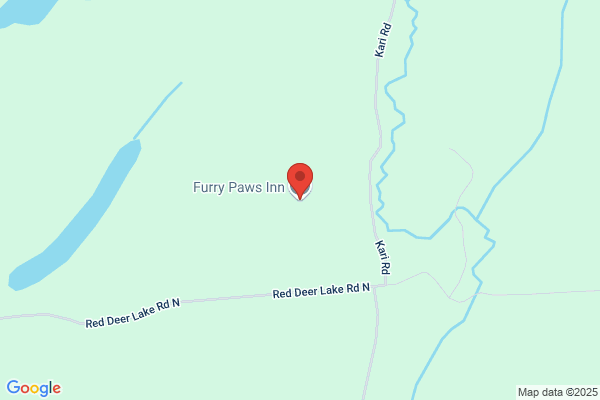 Animal Services, Sudbury, Animal Control
