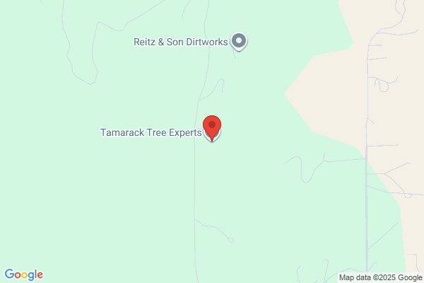 Tamarack Expert Tree Care