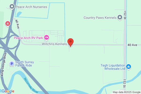 Willchris Kennels Ltd